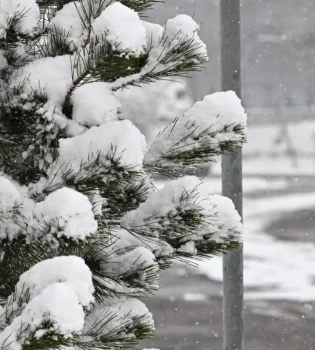 Ertaga O‘zbekistonda havo o‘zgaruvchan bo‘ladi