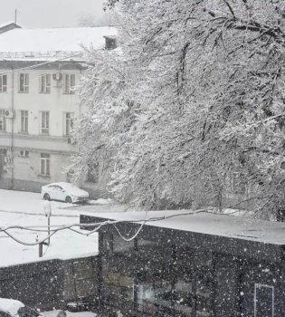 January 28: Snow, fog, and cold expected in Uzbekistan