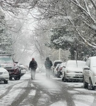 В Ташкенте холодная погода: на дорогах требуется осторожность