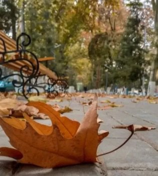 В конце октября температура воздуха понижается