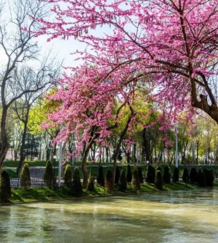 Clean Air Project is starting in Uzbekistan