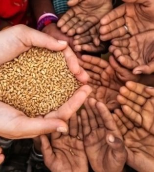 Shortage of Artificial Fertilizers Will Cause a Global Food Crisis