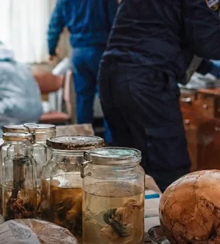 A doctor in Hungary was caught cooking a meal with the remains of his patients.