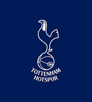 "Tottenham" is going through the toughest period in its history