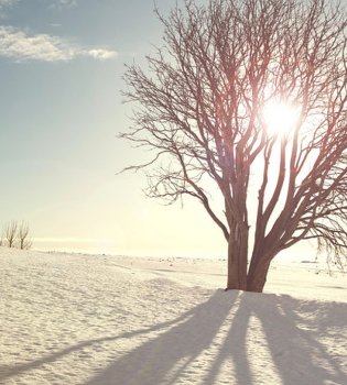 Fifty degrees of cold are expected in Kazakhstan in the coming days.