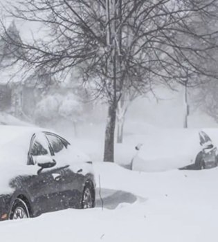 Сильная буря в США: 428 тысяч человек остались без электричества