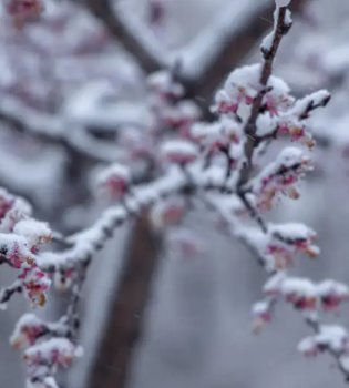 Oʻzbekistonga sovuq antisiklon kirib kelmoqda