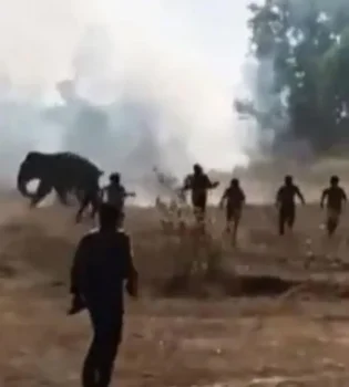 Wild elephant kills 22 people in India