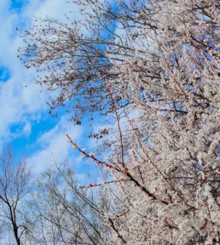 Weather in Uzbekistan will be variable on February 23