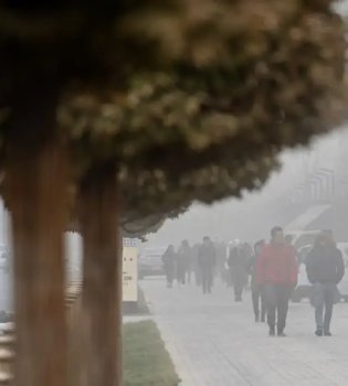 В Ташкенте холодный воздушный поток ухудшает качество воздуха