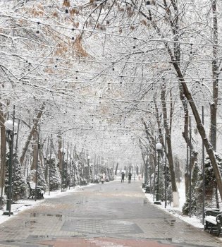 В Ташкенте 11 марта ожидается неустойчивая погода и сильный ветер