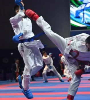 Toshkentda karate bo'yicha xalqaro turnir yuqori saviyada o'tdi
