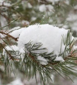 Avalanche risk announced in mountainous areas