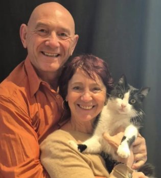 The cat that traveled 250 km returned home