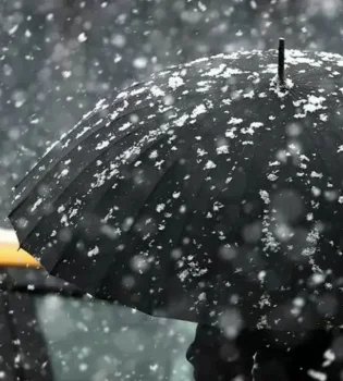 On February 1, warm weather and rain are expected in Uzbekistan