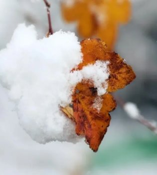 В феврале ожидаются теплые дни и возвращение холода