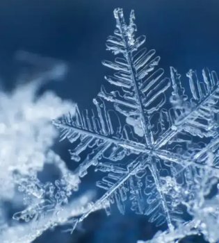 В Ташкенте в середине марта ожидается холод