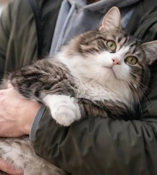 Mushugi tufayli ishdan bo‘shatilgan erkak sudda g‘alaba qozondi