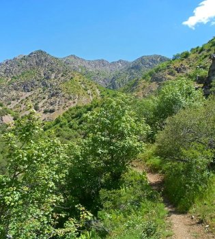 В Ташкенте и Фергане будут созданы новые национальные природные парки