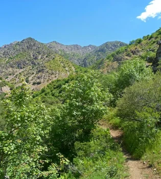 В Ташкенте и Фергане будут созданы новые национальные природные парки