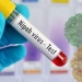 Nipah virus vaccine trials are beginning