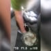 A strong drug smuggling operation has been curtailed in Fergana