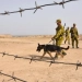 Shooting at the Kyrgyz-Uzbek border, two dead