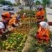 Toshkentga gul ko‘chatlari uchun 10 milliard so‘m ajratildi