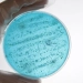 Microbes revived from eternal ice pose a climate risk