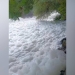 It has been determined that a sewing factory has polluted the canal water in Andijan
