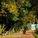 Weekend weather will be hot in Uzbekistan