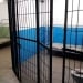Those who are exempted from serving their sentence will receive financial assistance