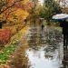 Weather across Uzbekistan on Friday is warm and calm