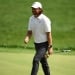 Tommi Fleetwood dropped the golf ball with the help of a fly