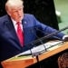 Трамп раскритиковал проблему миграции в Европе