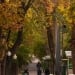 Hot and sunny weather in Uzbekistan throughout the week