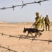 Shooting at the Kyrgyz-Uzbek border, two dead