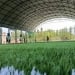 From 2025, football fields will be built in neighborhoods