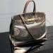 The Birkin bag was sold for a record 10 million dollars