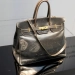 The Birkin bag was sold for a record 10 million dollars
