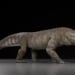 Large crocodile remains dating back 70 million years found in Patagonia