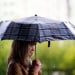 Rain and dust storms are expected in the regions of Uzbekistan