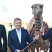 Mirziyoyev and Berdimuhamedov met at a cultural event