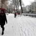 December 19: Snow, rain, and fog expected in Uzbekistan