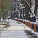 December 26: Cold and foggy weather expected in Uzbekistan