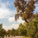 No precipitation in Uzbekistan on September 27-28