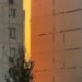 20 oktyabrda O‘zbekistonda iliq va yomg‘irsiz ob-havo