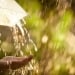 Weekend weather in Uzbekistan is mostly dry
