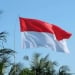 Indonesia is ready to send a peace mission to Ukraine