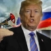 Trump will reimpose sanctions on Russia once the oil market stabilizes.